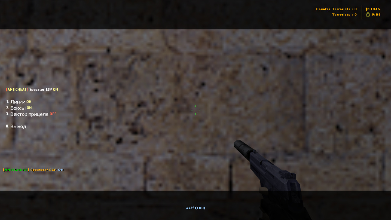 AC Spectator ESP screen2